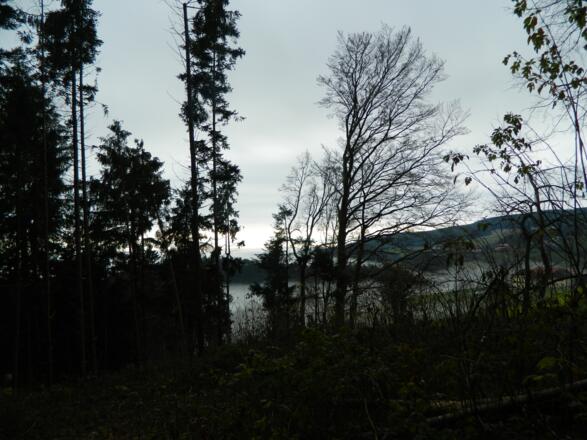 Blick zum Lichtenberg