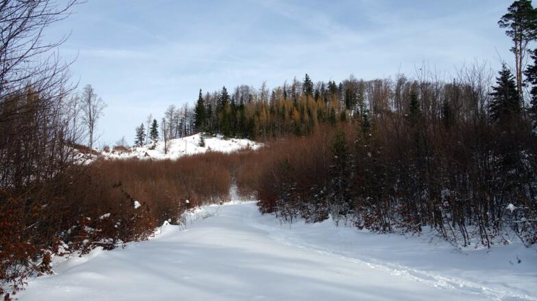Links ab zum Gratkamm-Beginn ( ~1022m ).