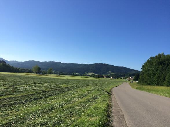 Großholzleute