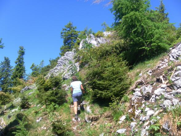 Gipfelfels