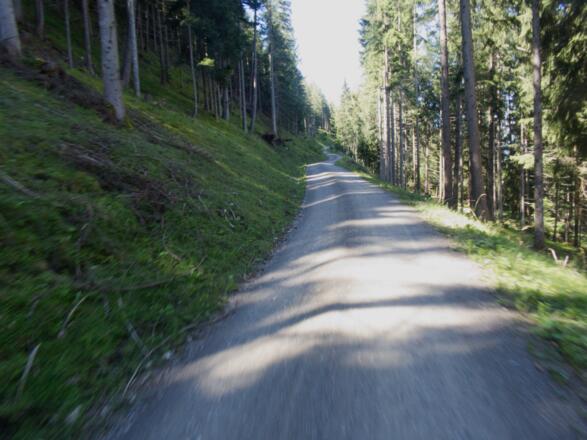 Imsterbergerwald