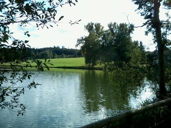 Schachenweiher