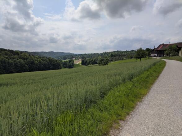 Blick von Beigertsham ins Hitzenauer Tal