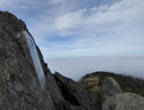Kleiner Osser mit Blick auf die Osserwiese