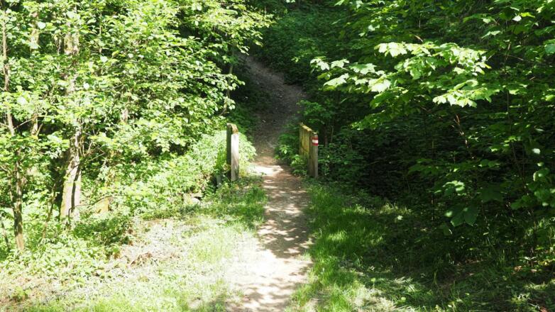 Nach der steilen Abfahrt führt uns diese Brücke ans ander "Ufer" hinüber