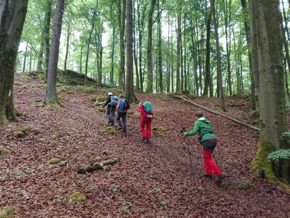 Sanfte Anstiege während der Tour