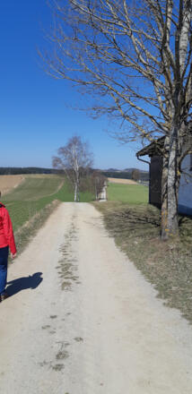 Von Rainbach in Richtung Landesstraße nach Hörschlag