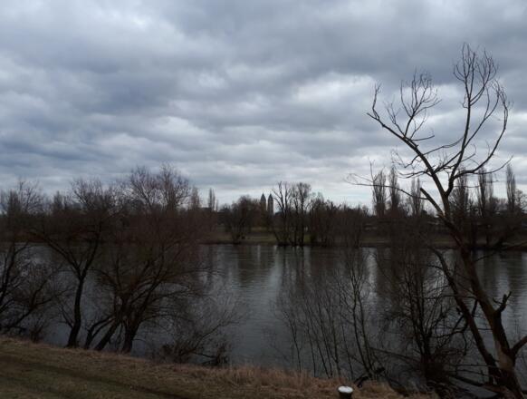 Dammweg in der Vogelau