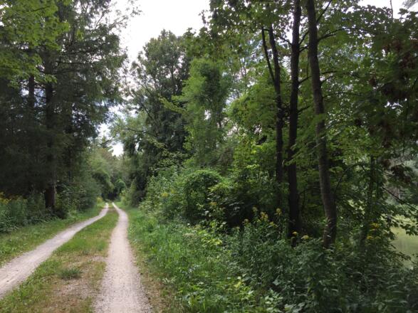 Isarradweg Ostseite
