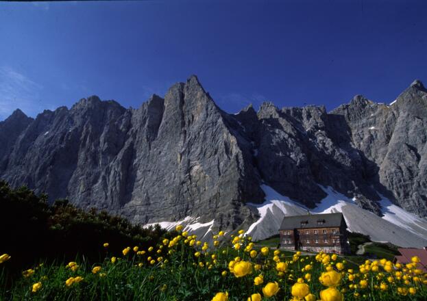 Falkenhütte