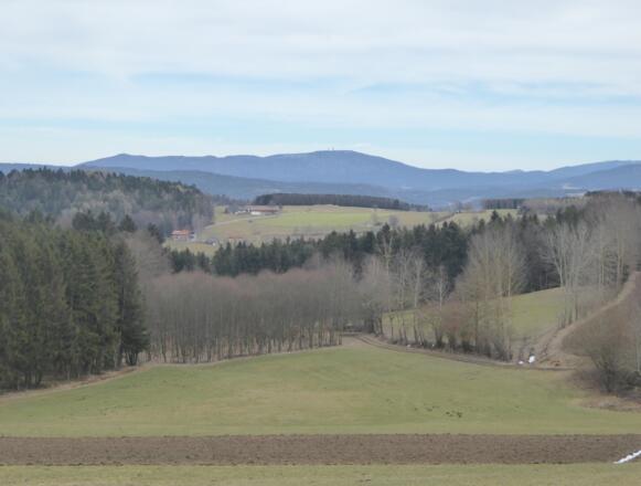 Blick auf den Hohen Bogen