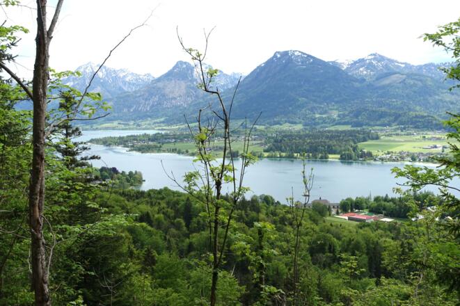 Wolfgangsee