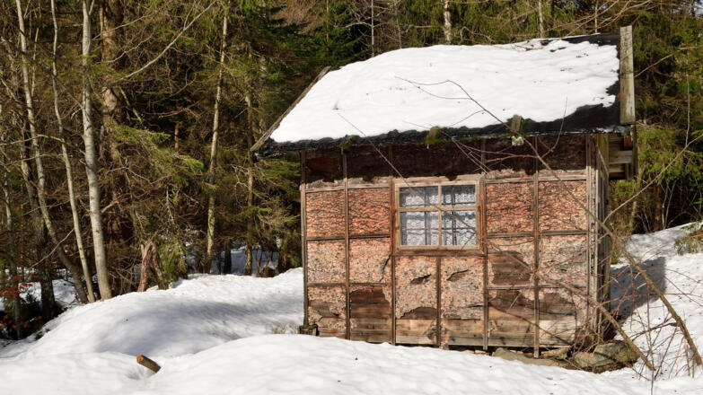 Hütte kurz vor der Abzweigung auf den Lusensteig