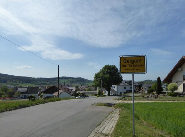 Geigant