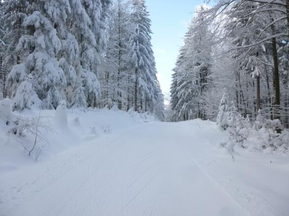 Abfahrt zum Schopf-Anstieg