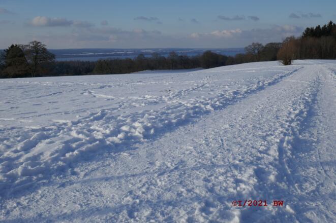 Blick zum Ammersee