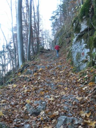 steiler Hohlweg zum Wagnerberg
