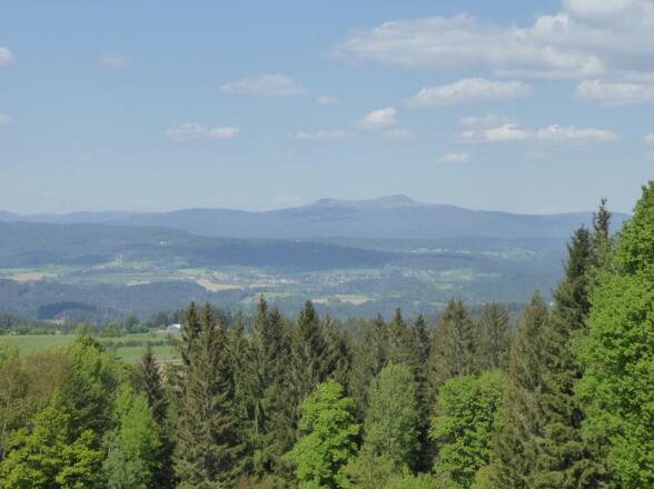 Panoramawiese bei Haunstein