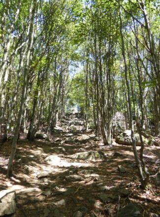 steiniger Aufstieg zum Hirschenstein