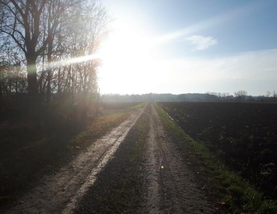 laaange Gäubodenwege