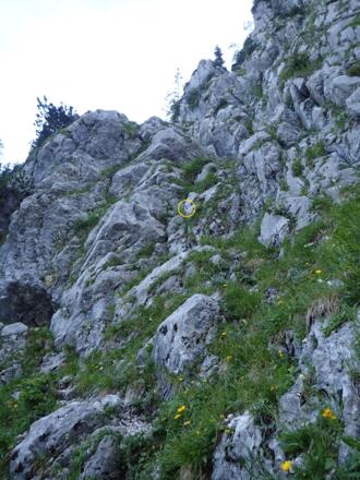 Grasdurchsetzte Rinne