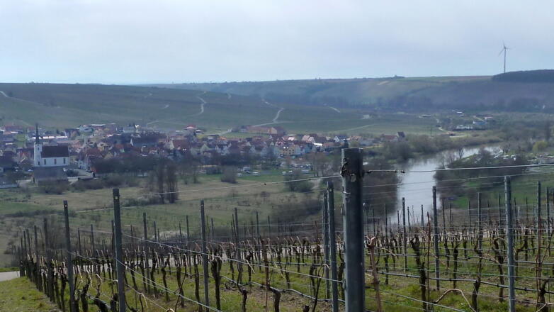 Blick nach Nordheim an der Mainschleife