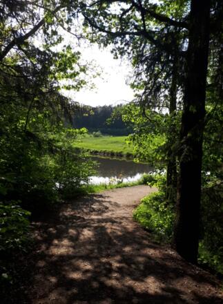 Dreiburgenseerunde (kurz)