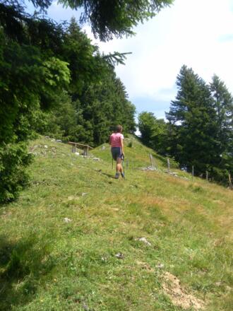 Südkamm des Heuraffelkopfs