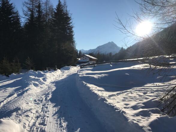 Wurzbergalm