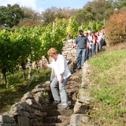 Abstieg über die Winzertreppe zum Abt-Degen-Steig