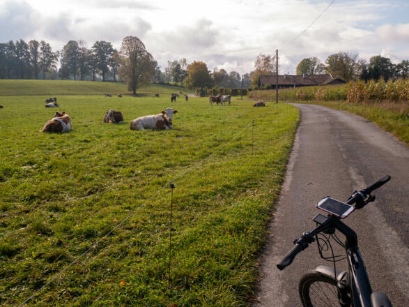 Aussiedlerhöfe und Weiden