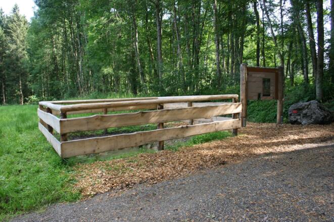 Station 4: Grundwasserboden (Gley); Boden des Jahres 2016; Infotafel und Aufschluss