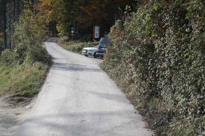 Dort wo eine Forststraße auf die Talstraße trifft und ein paar gelbe Wegweiser stehen, beginnt die Tour.