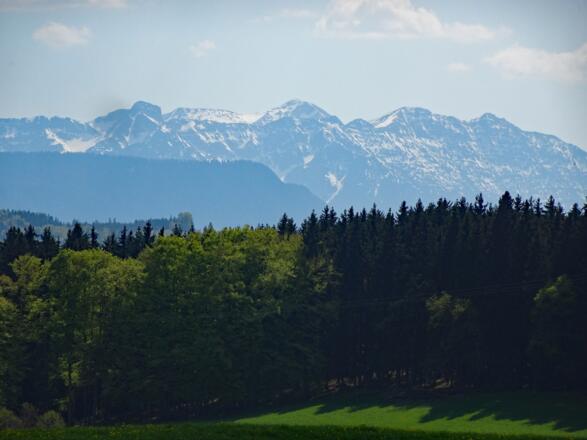 Nähe Untersiffelhofen: Blick aufs Estergebirge