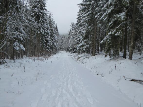 Schnee - Highway