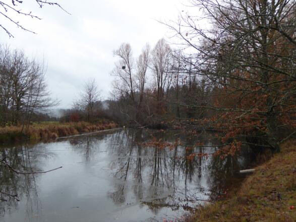 Weiher bei Willersberg