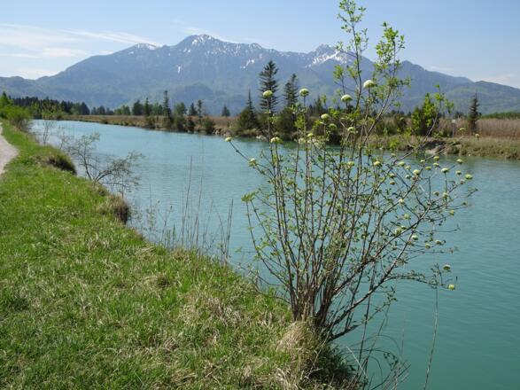 Loisach mit Herzogstand und Heimgarten