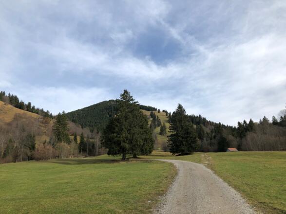 Kurz hinter Kappel mit Blick auf das Almgelände, durch das der Weg führt.