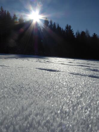 Winterwunderland