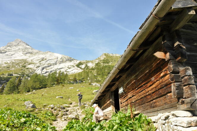 Fast geschaffft - von der Falzalm sieht man die Hüttenfahne am Watzmannhaus schon wehen