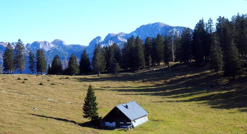 Brombergalm ~1435m mit Schönberg