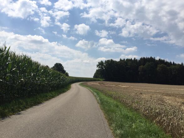 Steigung 600 Meter nach Reith