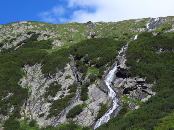 Überall sprundelt das Wasser heraus