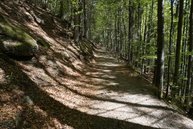 Wanderweg zu den Rieslochfällen