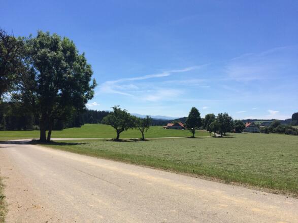 Richtung Menelzhofen