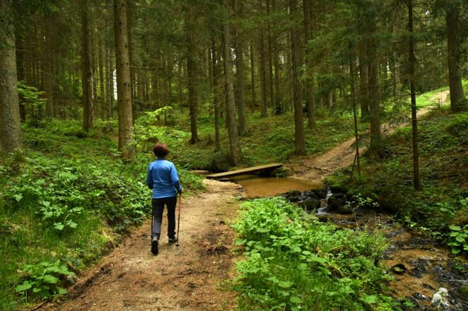 Wanderweg im Oberholz - wir wandern in Richtung Linden