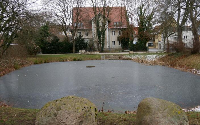 Ankerweiher in Altdorf