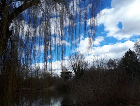 Eisweiher am LAGE Gelände in Straubing