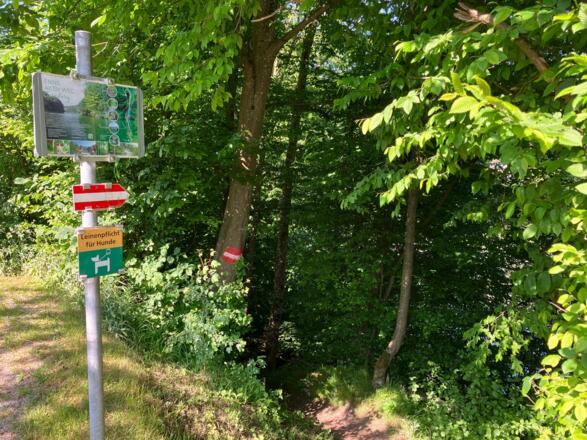 Dürnbachrunde