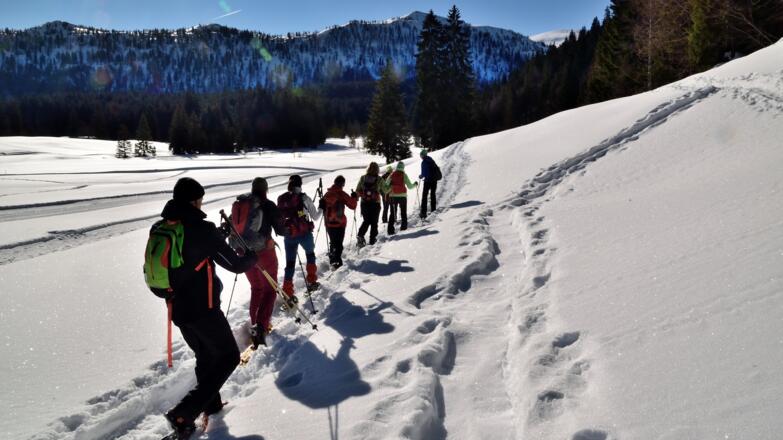 Am Anfang der Tour entlang der loipe